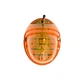 Indoor Warning Alarm Lamp